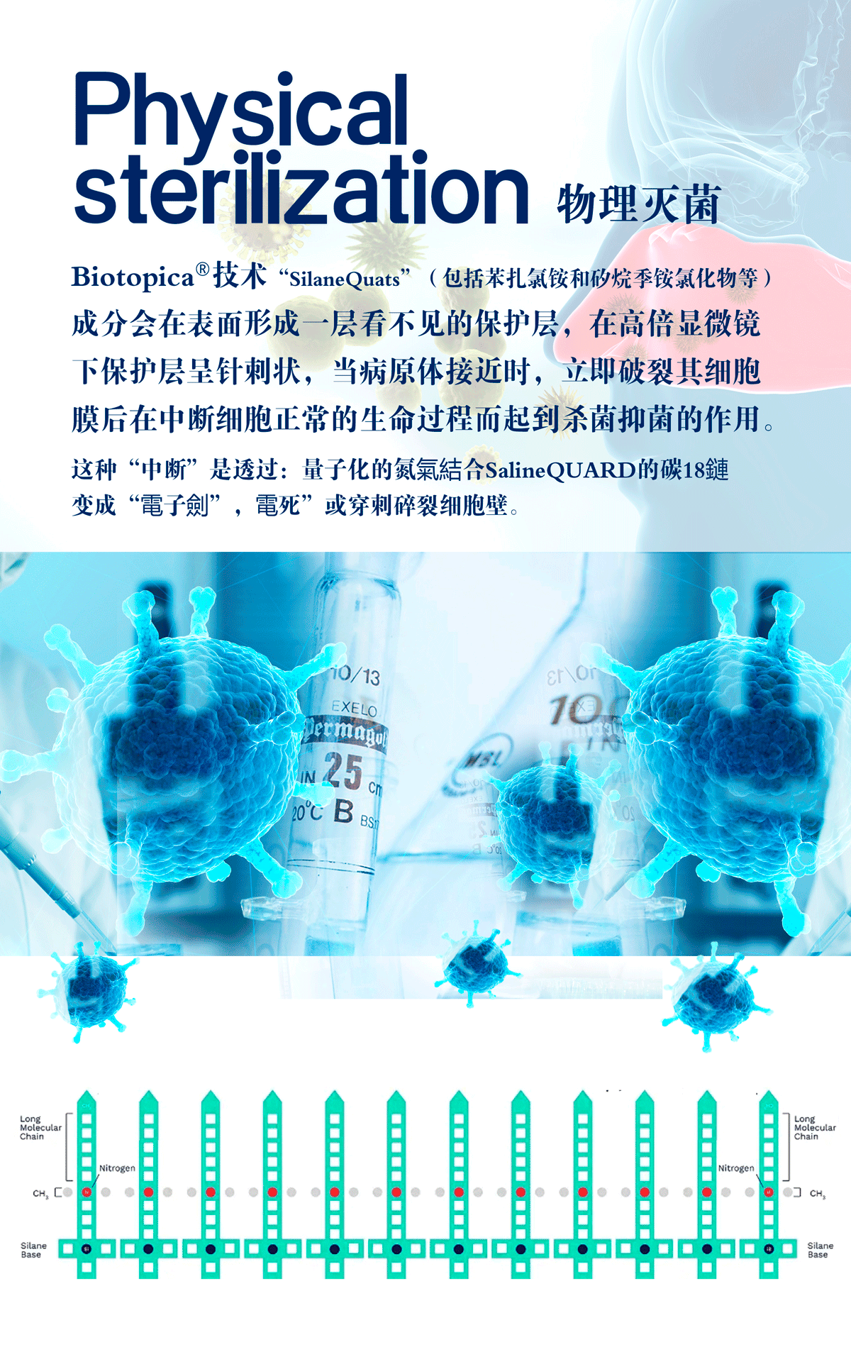 1200_1923 竖版 竖屏